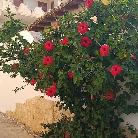 Al Faro Bed & Breakfast Realmonte Dış mekan fotoğraf