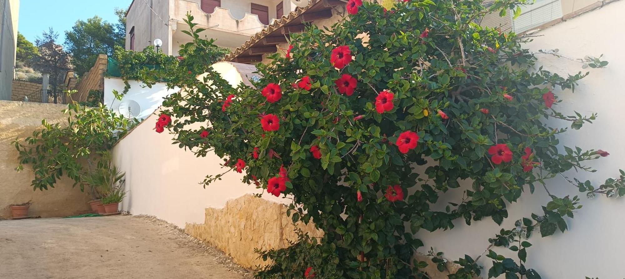 Al Faro Bed & Breakfast Realmonte Dış mekan fotoğraf